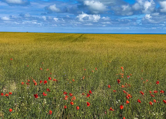 ヴィラ Mathilde Saint-Pierre-en-Port